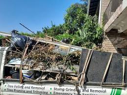 Best Carpet Removal and Disposal  in Lookout Mountain, AL